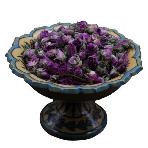 غنچه گل محمدی